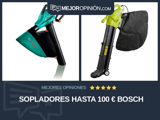 Sopladores Hasta 100 € Bosch