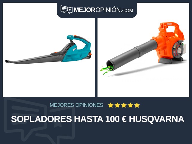 Sopladores Hasta 100 € Husqvarna