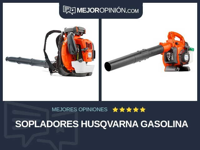 Sopladores Husqvarna Gasolina