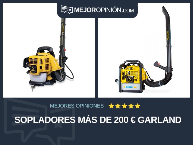 Sopladores Más de 200 € Garland