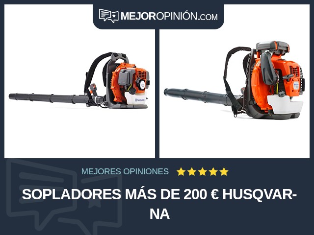 Sopladores Más de 200 € Husqvarna