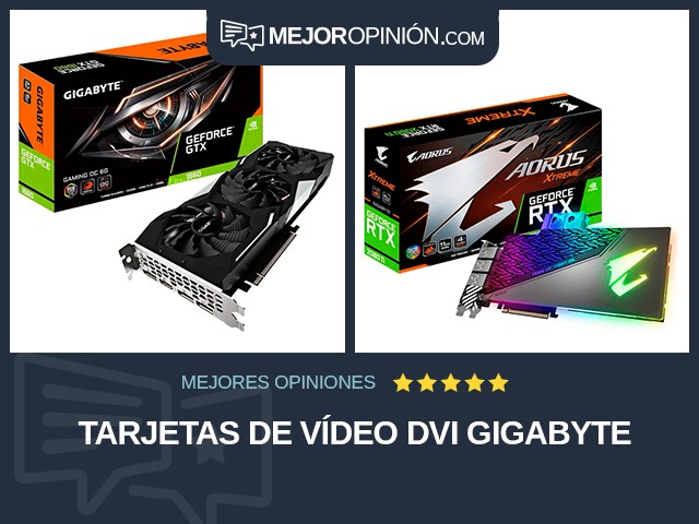 Tarjetas de vídeo DVI GIGABYTE