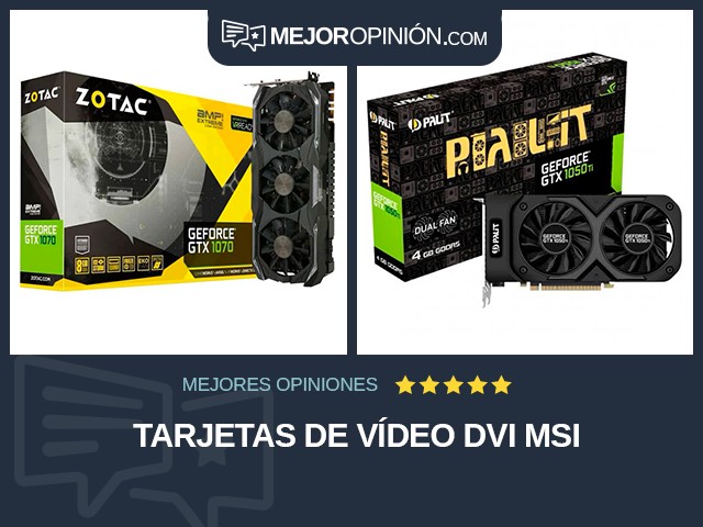 Tarjetas de vídeo DVI MSI