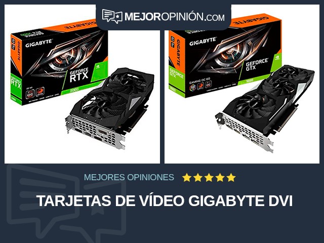 Tarjetas de vídeo GIGABYTE DVI