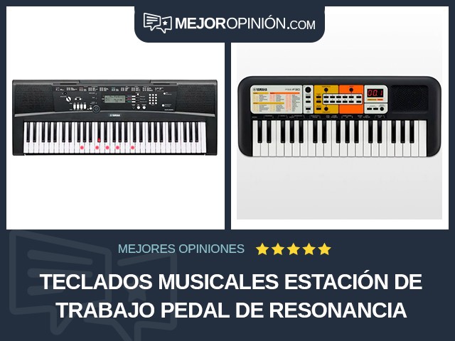 Teclados musicales Estación de trabajo Pedal de resonancia