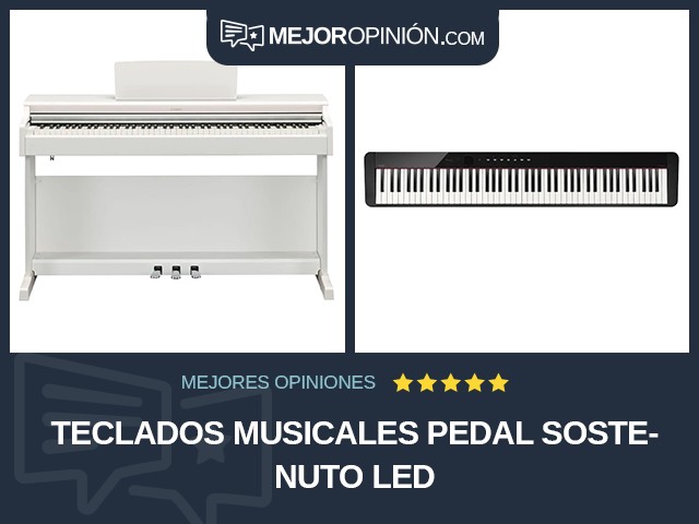 Teclados musicales Pedal sostenuto LED