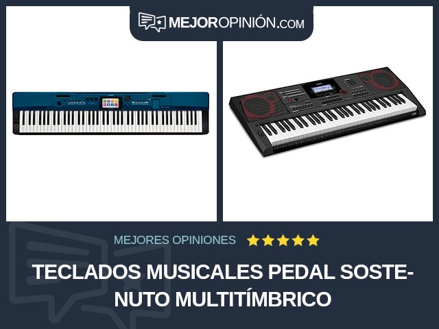 Teclados musicales Pedal sostenuto Multitímbrico