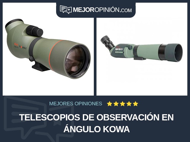 Telescopios de observación En ángulo KOWA