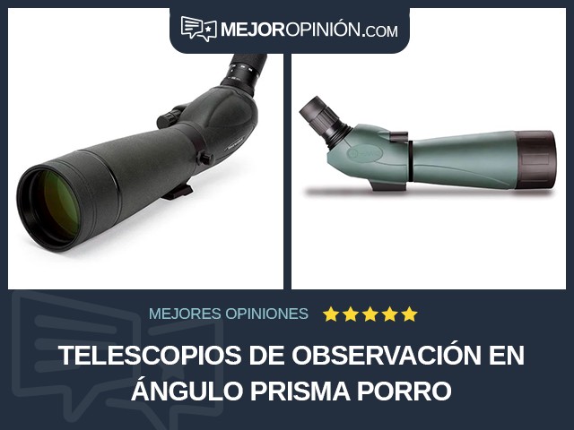 Telescopios de observación En ángulo Prisma Porro