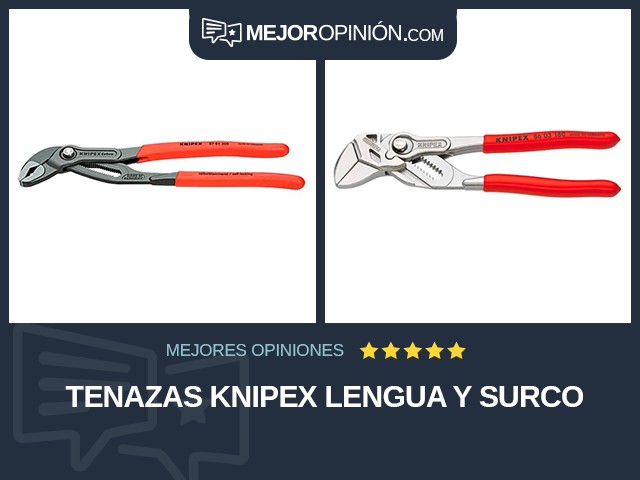 Tenazas Knipex Lengua y Surco