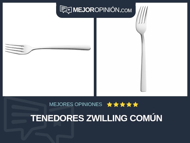 Tenedores Zwilling Común