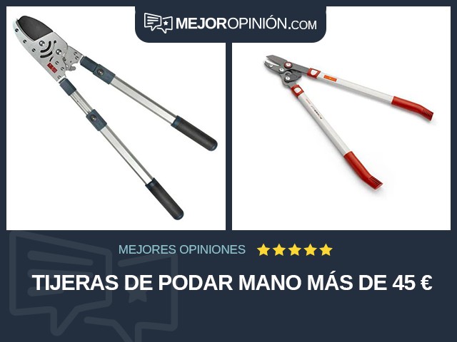 Tijeras de podar Mano Más de 45 €