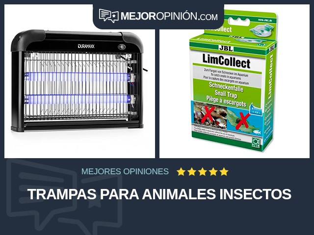 Trampas para animales Insectos