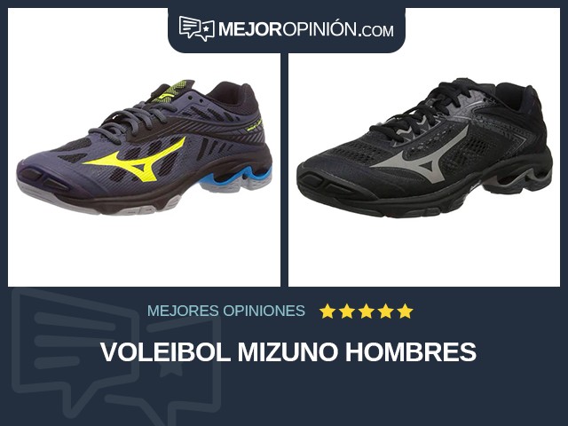 Voleibol Mizuno Hombres